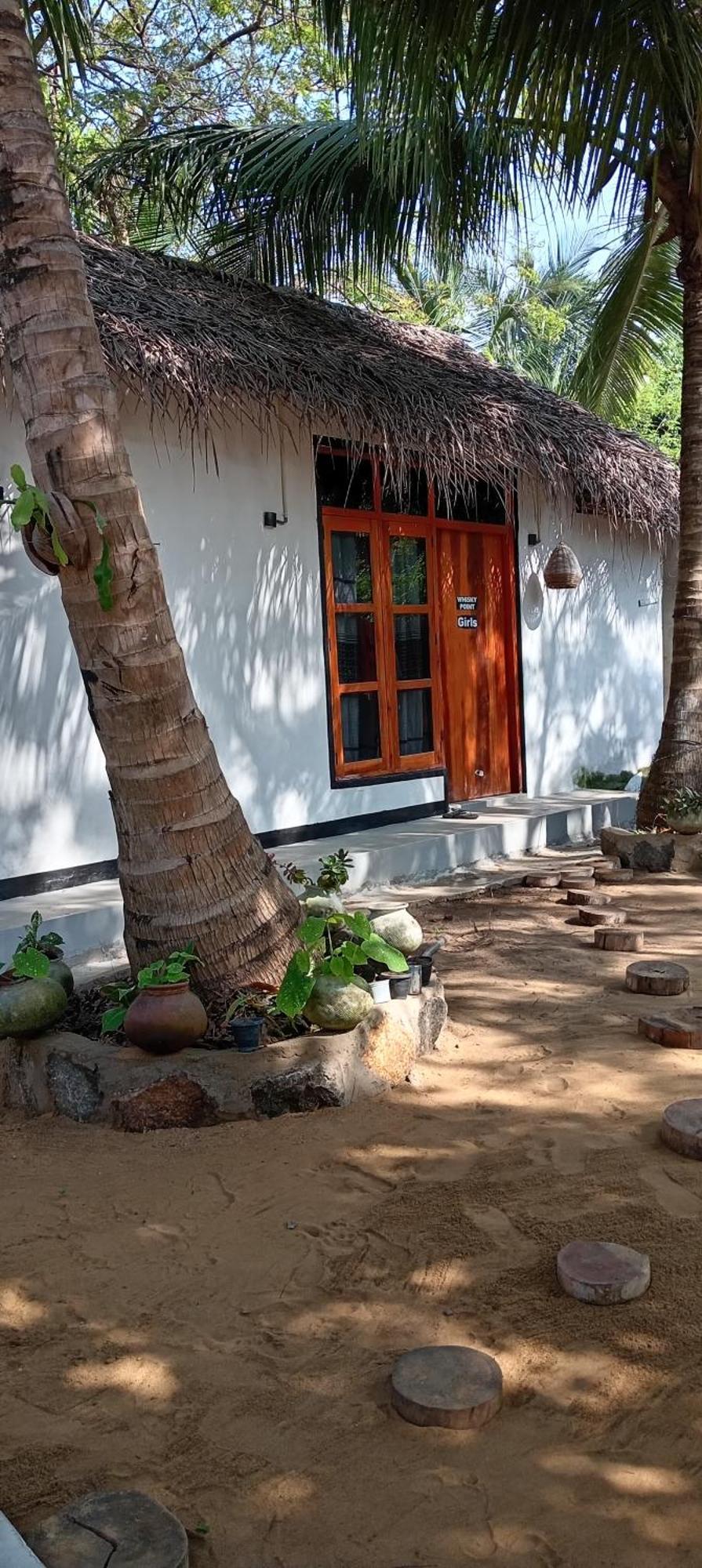 Surfing Lion Hostel Arugam Kudah Eksteriør bilde