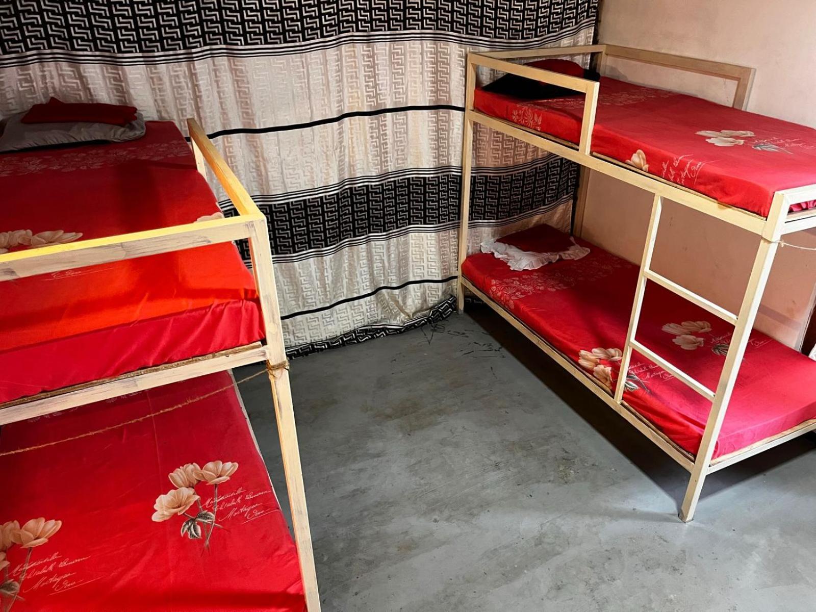 Surfing Lion Hostel Arugam Kudah Eksteriør bilde