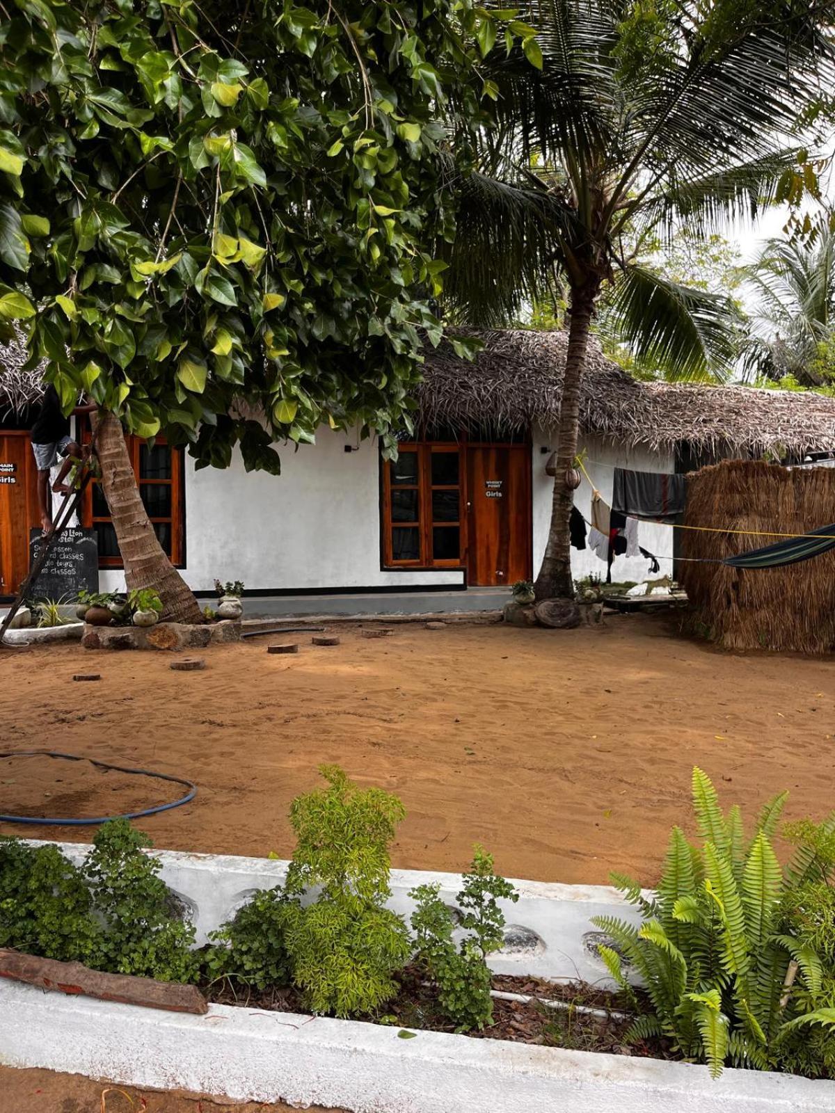 Surfing Lion Hostel Arugam Kudah Eksteriør bilde