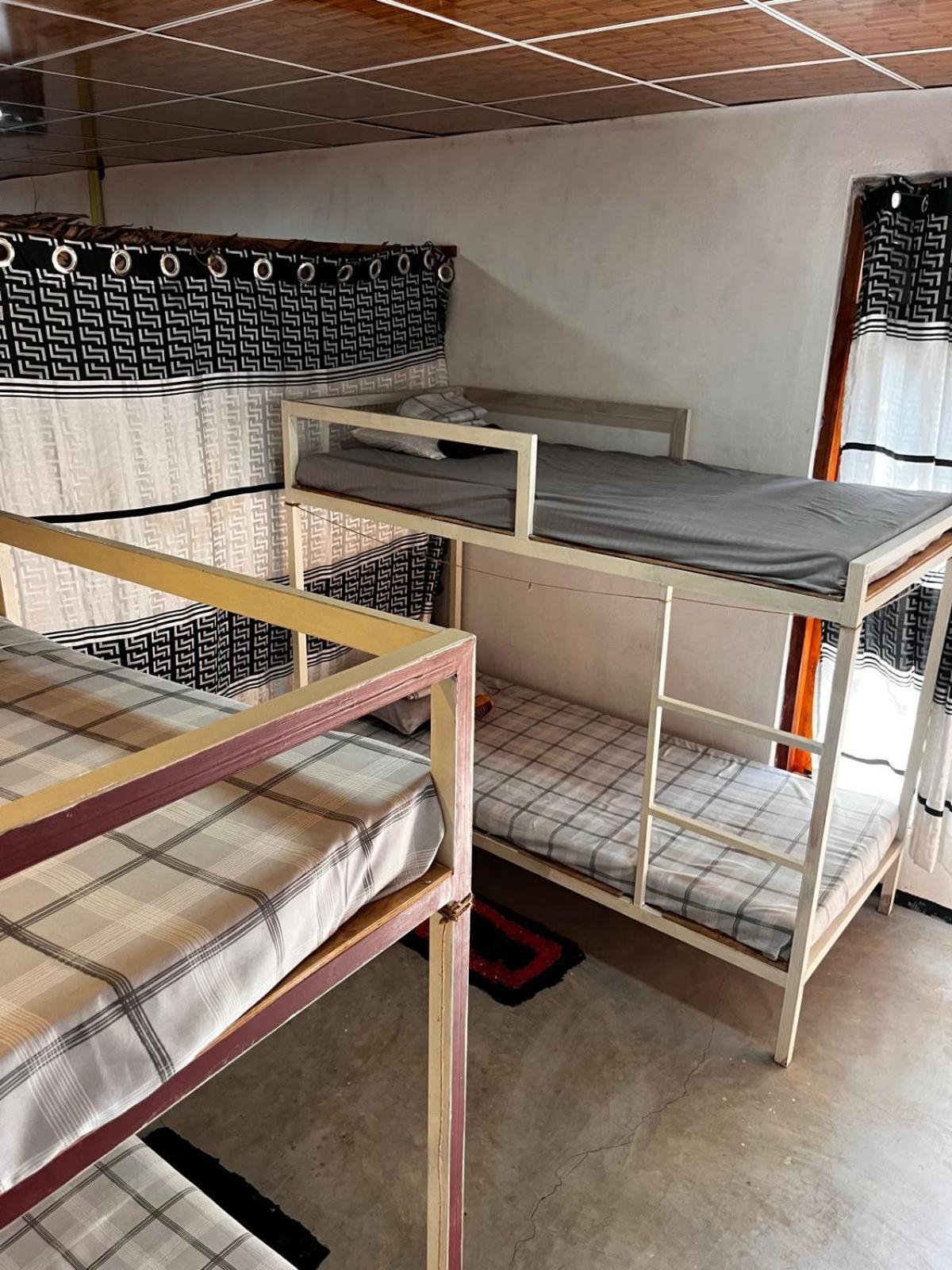Surfing Lion Hostel Arugam Kudah Eksteriør bilde