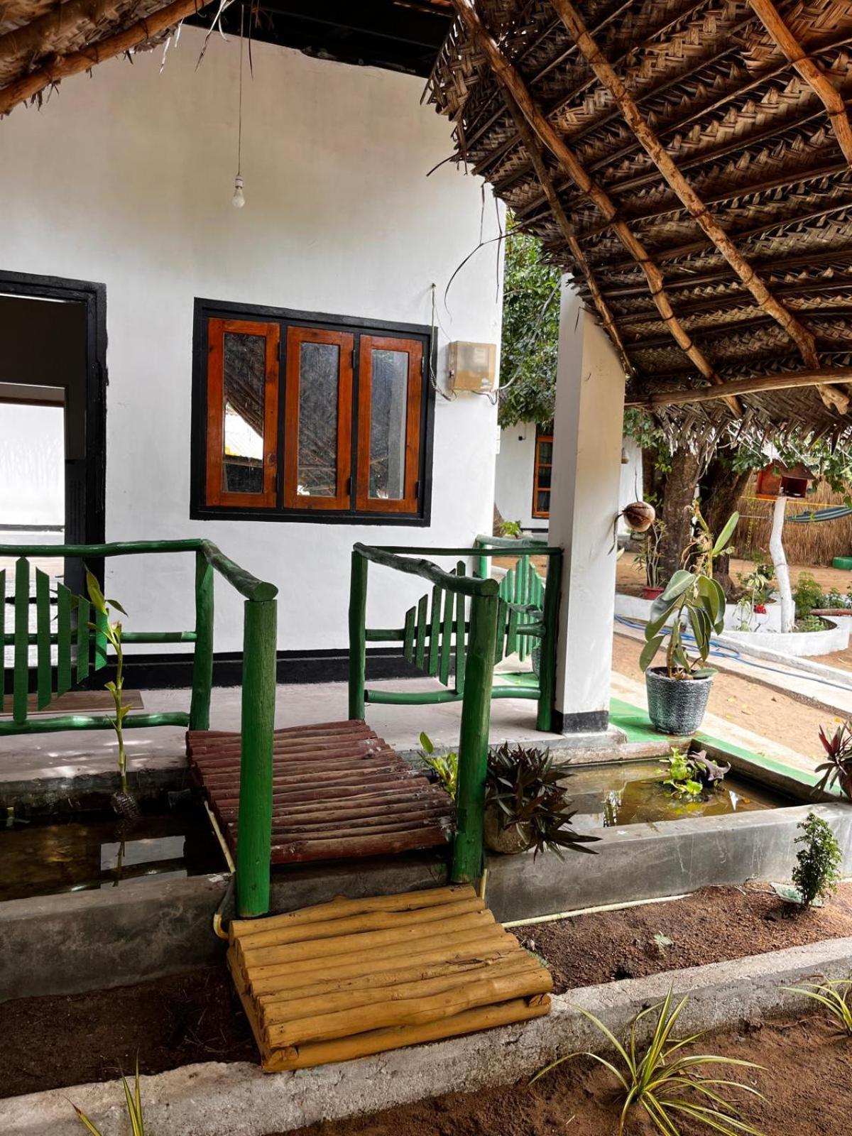 Surfing Lion Hostel Arugam Kudah Eksteriør bilde