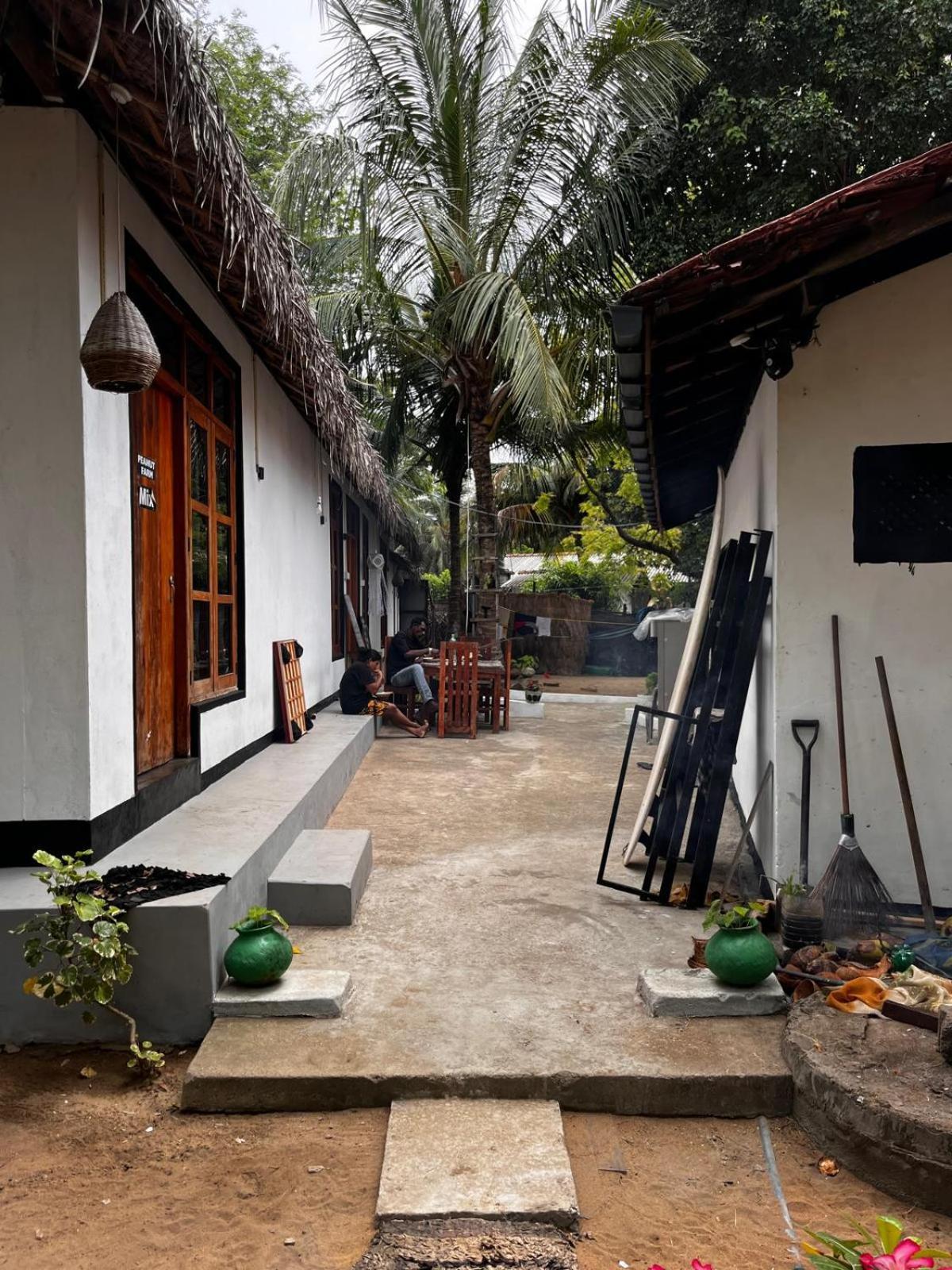 Surfing Lion Hostel Arugam Kudah Eksteriør bilde