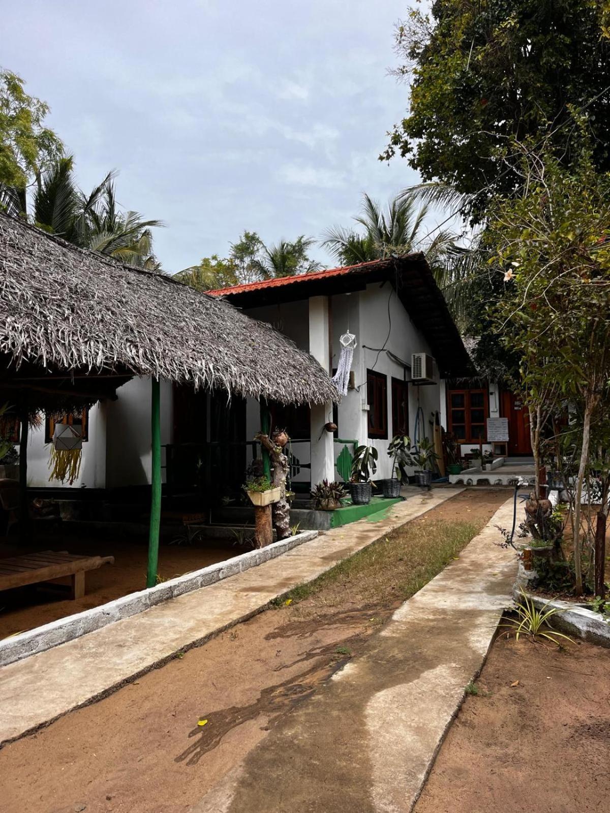 Surfing Lion Hostel Arugam Kudah Eksteriør bilde